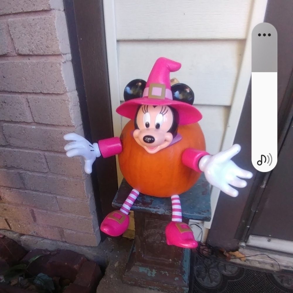 Minnie Mouse Pumpkin push pins